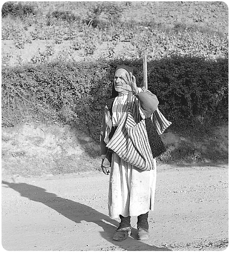 Barbagia di Belvi 1955 Barbagia di Belvi 1955