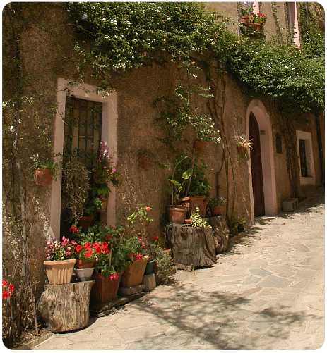 Barbagia di Belvi 1955 Barbagia di Belvi 1955