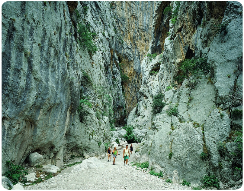 Nel Comune di Dorgali in provincia di Nuoro si trova la gola di Su Gorropu che con pareti di oltre 400 metri è uno dei canyon più alti d'Europa.