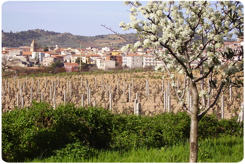 Mamoiada, il paese del Mamuthones, giace a 650 metri s.l.m., a nord del massiccio del Gennargentu. Dista circa 16 Km da Nuoro e confina con i territori dei comuni di Orgosolo, Fonni, Gavoi, Ollolai, Sarule, Orani e Nuoro. Vi si producono eccellenti vini, ottimi formaggi, squisite carni, raffinati dolci e gustosissimo pane.