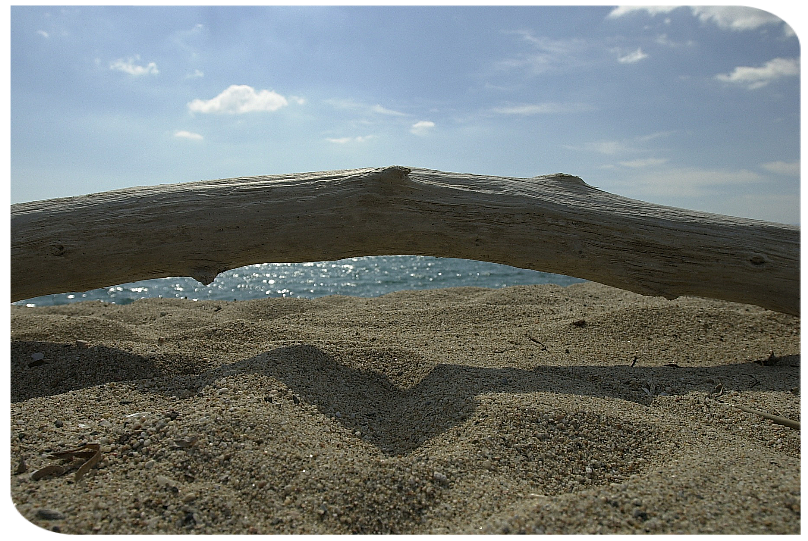 Spiaggia nell'Oasi Bidderosa