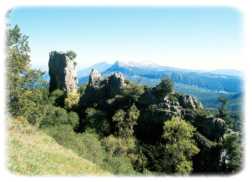 Montes  Monte Novo San Giovanni Orgosolo