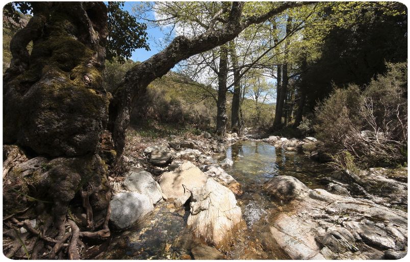 Montes, Supramonte di Orgosolo
