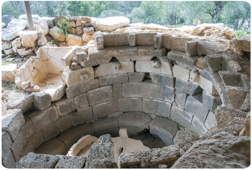 Informazioni turistiche e curiosità su Oliena