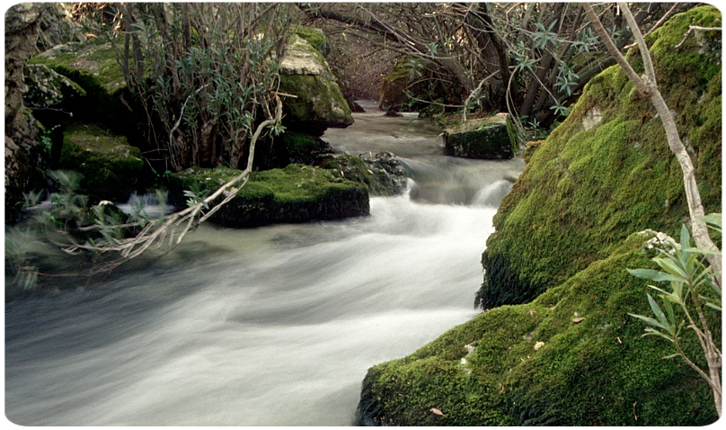 Partendo da Oliena si segue la SP per Dorgali per circa 5,8 km; a quest'altezza si svolta a destra in una diramazione in lieve discesa, segnalata da cartelli che indicano la fonte e il famoso hotel-ristorante. Dopo circa 8 km si giunge in un ampio piazzale, da cui la sorgente è facilmente raggiungibile a piedi. A qualche chilometro dal paese di Oliena, sulle falde del Supramonte e presso la riva destra del fiume Cedrino, si trova la sorgente carsica de Su Gologone.