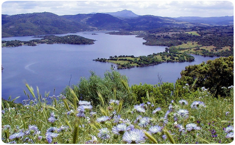 Panorama del lago Liscia a Luras Provincia di Olbia Tempio