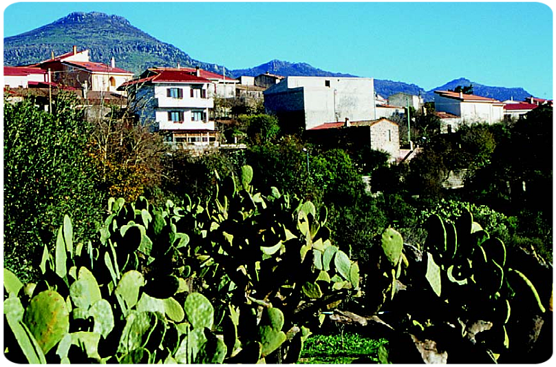 Birori paese nella provincia di Nuoro situato al centro della Sardegna informazioni turistiche e curiosità.