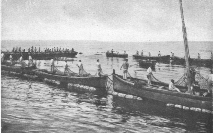 Storia e tradizione della località turistica Stintino nel Nord Sardegna. Preparativi per la pesca al Tonno a Stintino foto storica dei primi del novecento.