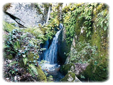 Austis informazioni turistiche e curiosità. Austis informazioni turistiche e curiosità.