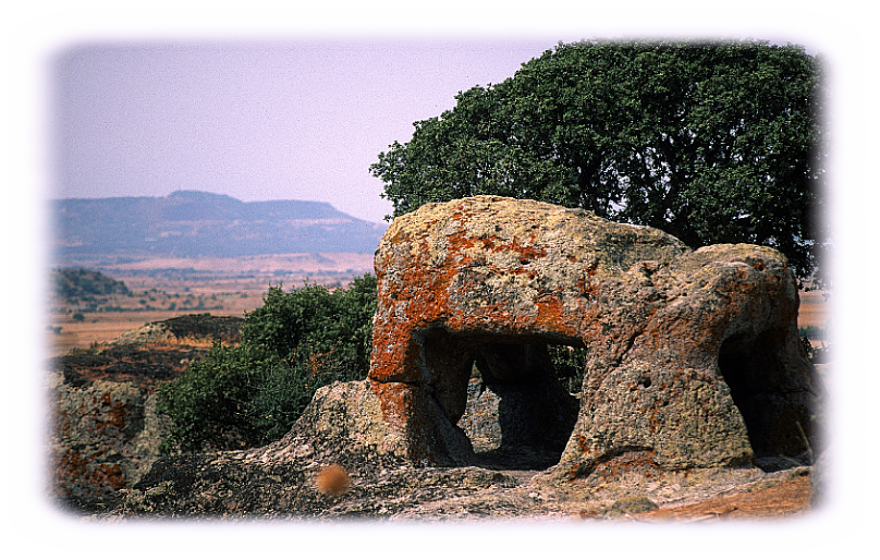 Bonorva, necropoli di Sant'Andrea Priu.