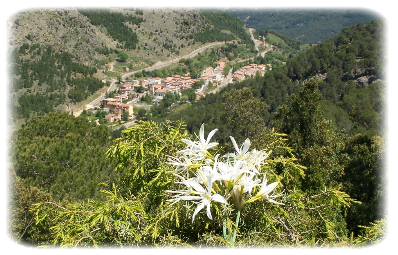 Gairo, panorama della frazione di Taquisara.